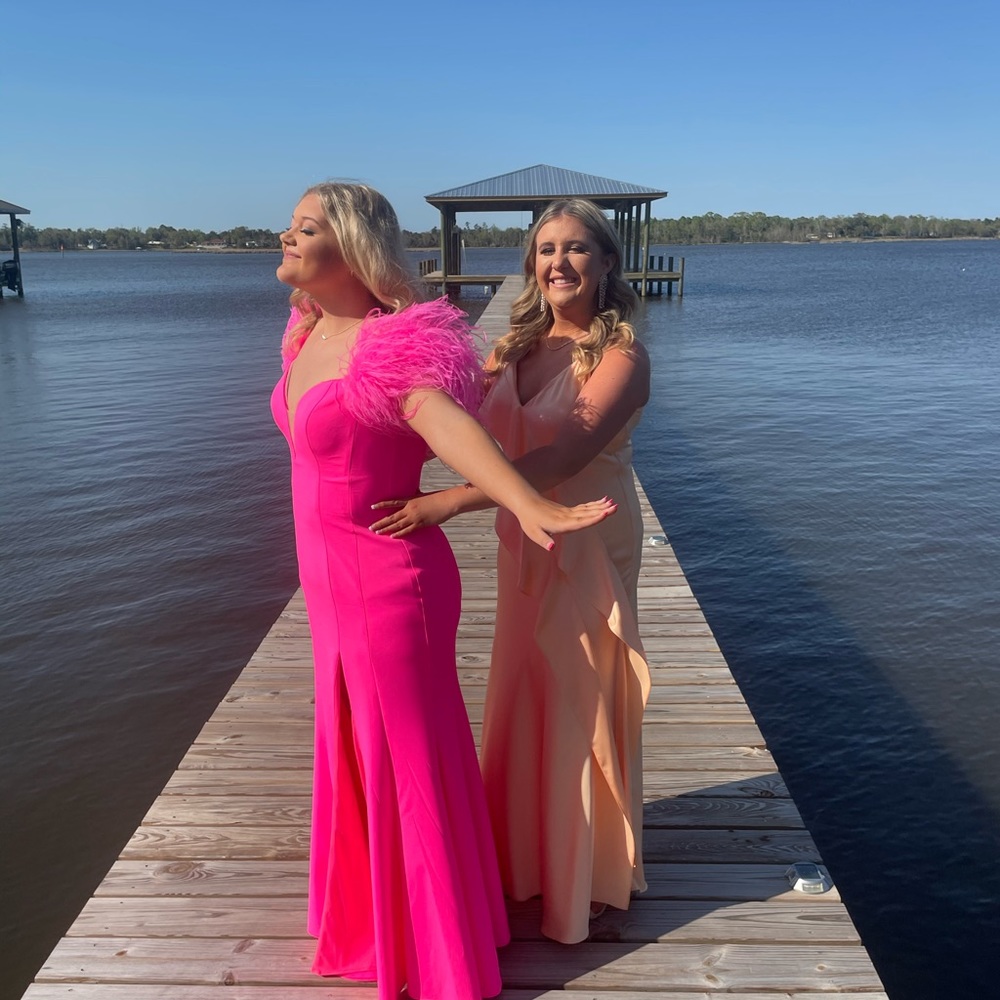 Prom Dress - Picture 5 of 5